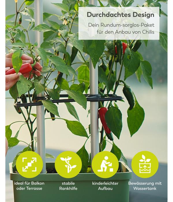 Gusta Garden Chili-Pflanztopf Charly Chili XL,