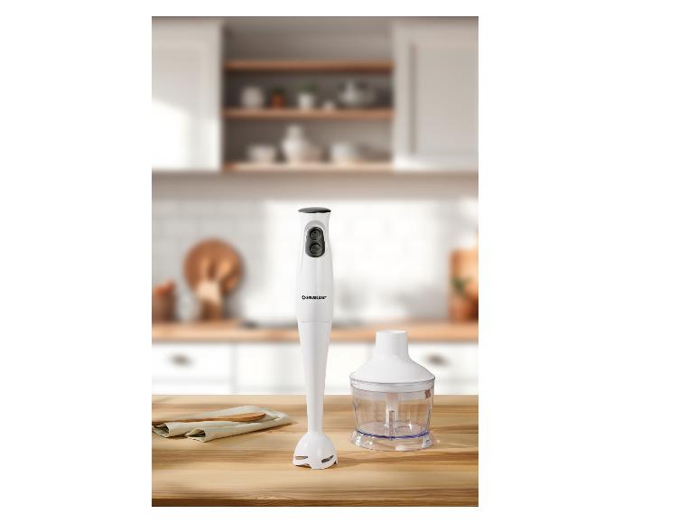 Staafmixerset 350 W