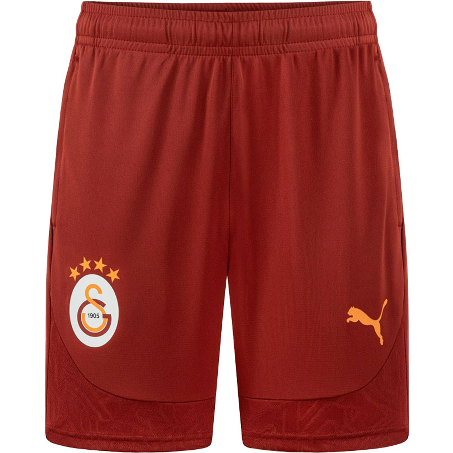 Puma Galatasaray Training Short 2024/2025