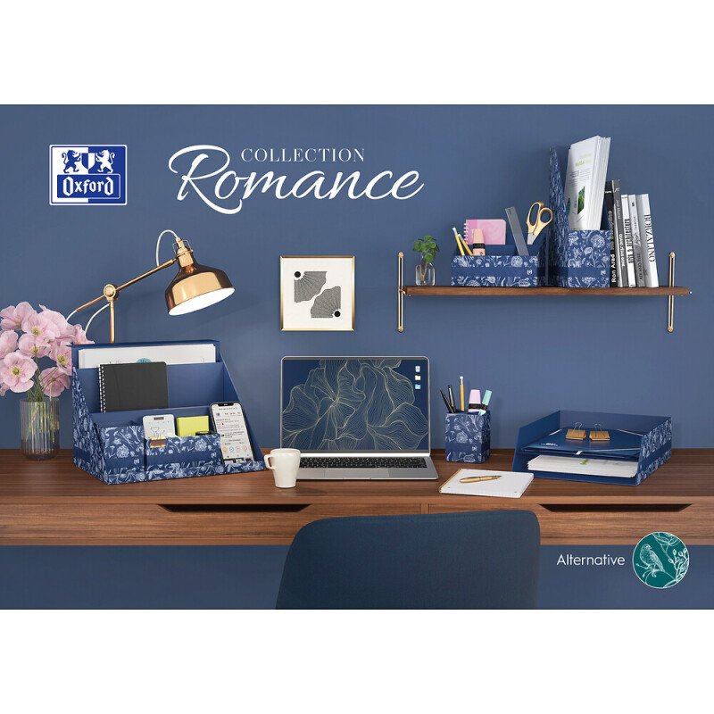 Boite all-in-box oxford romance D120 assorti