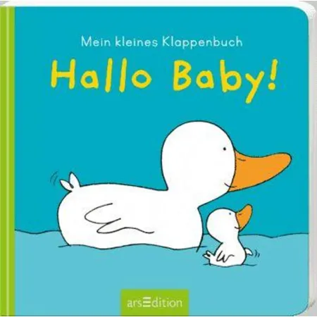 ars Edition Mein kleines Klappenbuch Hallo Baby!