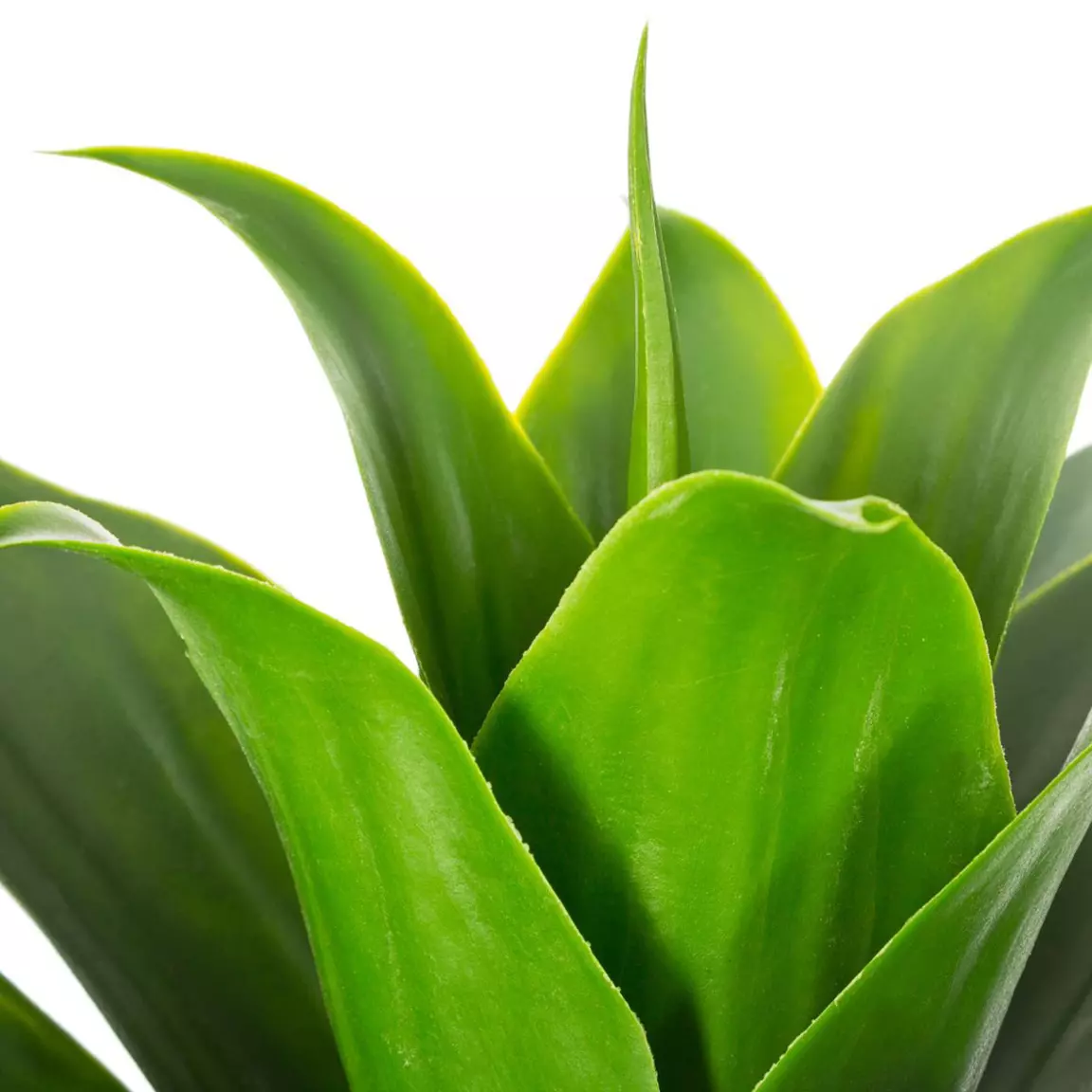 Plante artificielle (H34 cm) Aloe vera