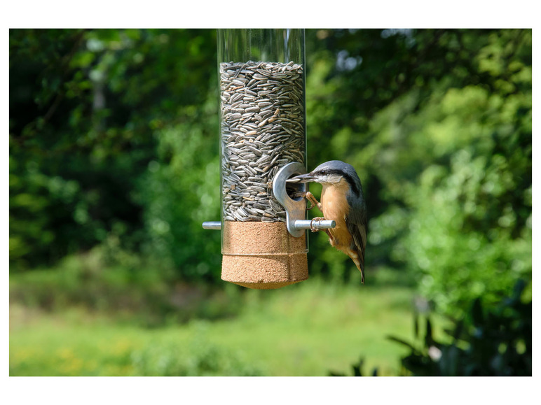 Premium vogel voederbak