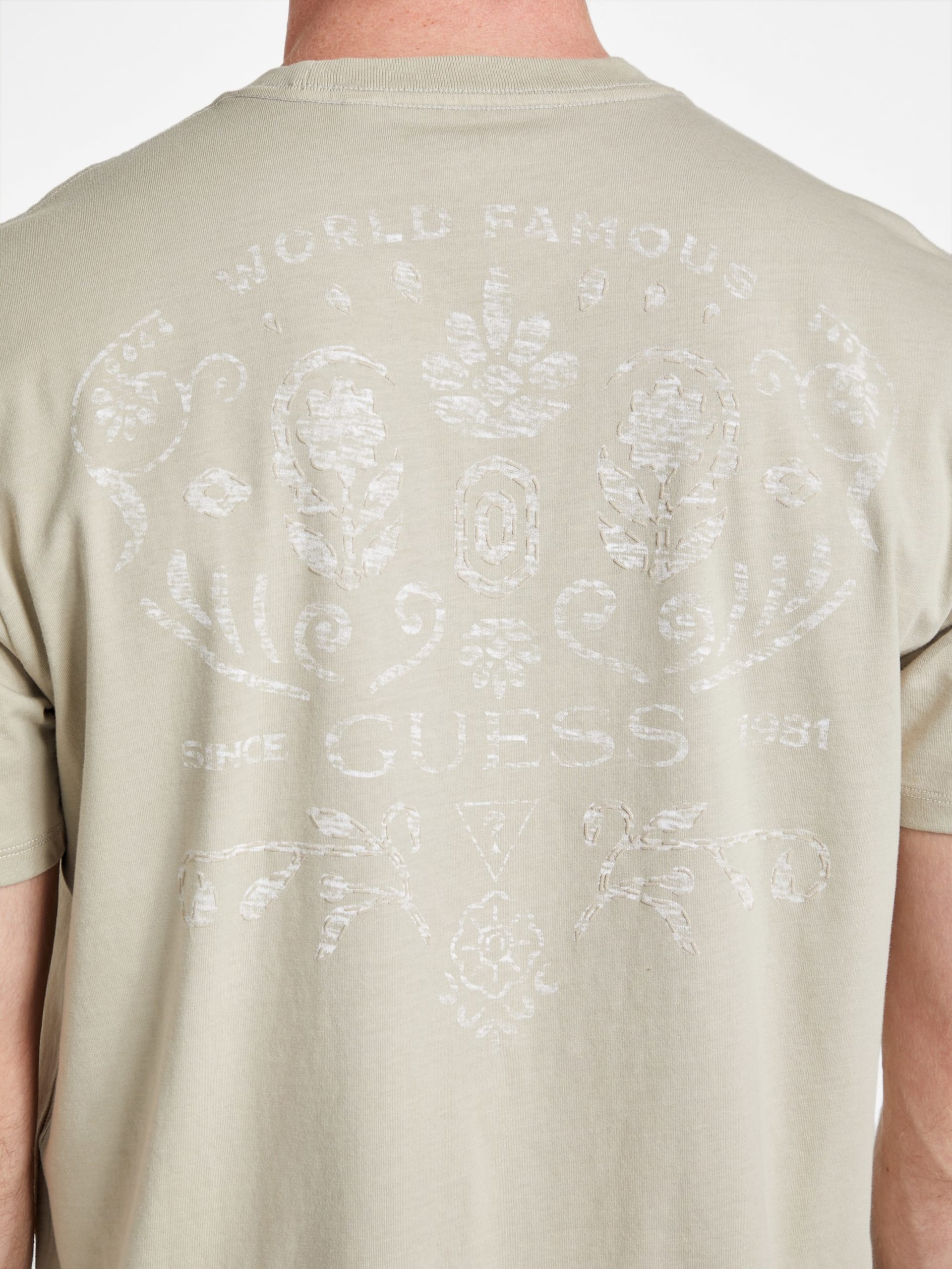 Camiseta Eco Basics, mundialmente famosa