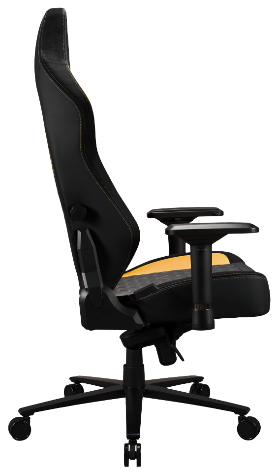 Apollon Collector / Hp Hogwarts Black seat + gold