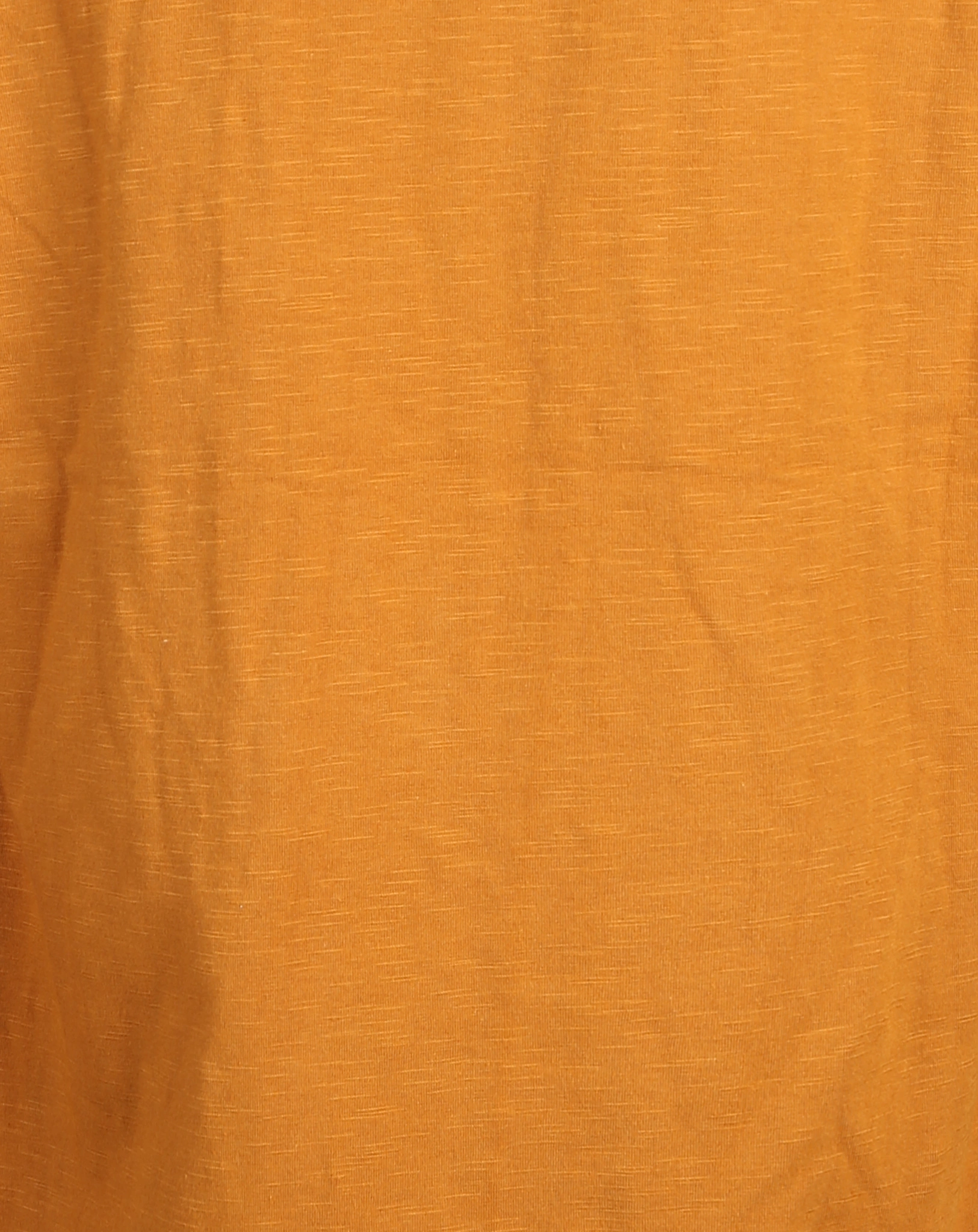 Langarmshirt ACER in goldfish