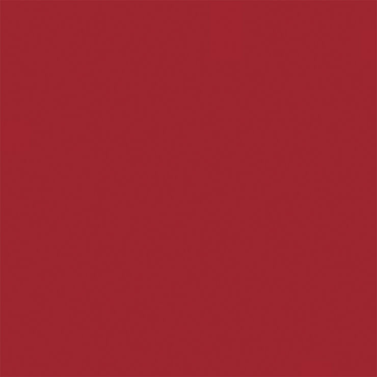 DIOR Rouge Dior Lipstick 999 satin