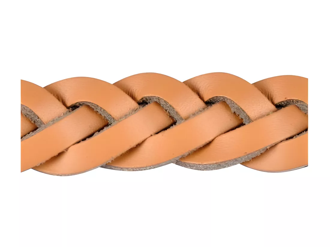 Collier règlable en cuir tressé pour chien - Beige - Taille L (de 50 à 70 cm)
