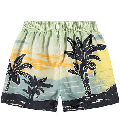 Molo Shorts - Solar - Palm Baby-Nanas