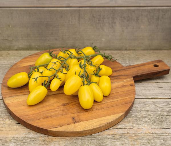 Dehner Premium Samen Snacktomate 'Dattolime'