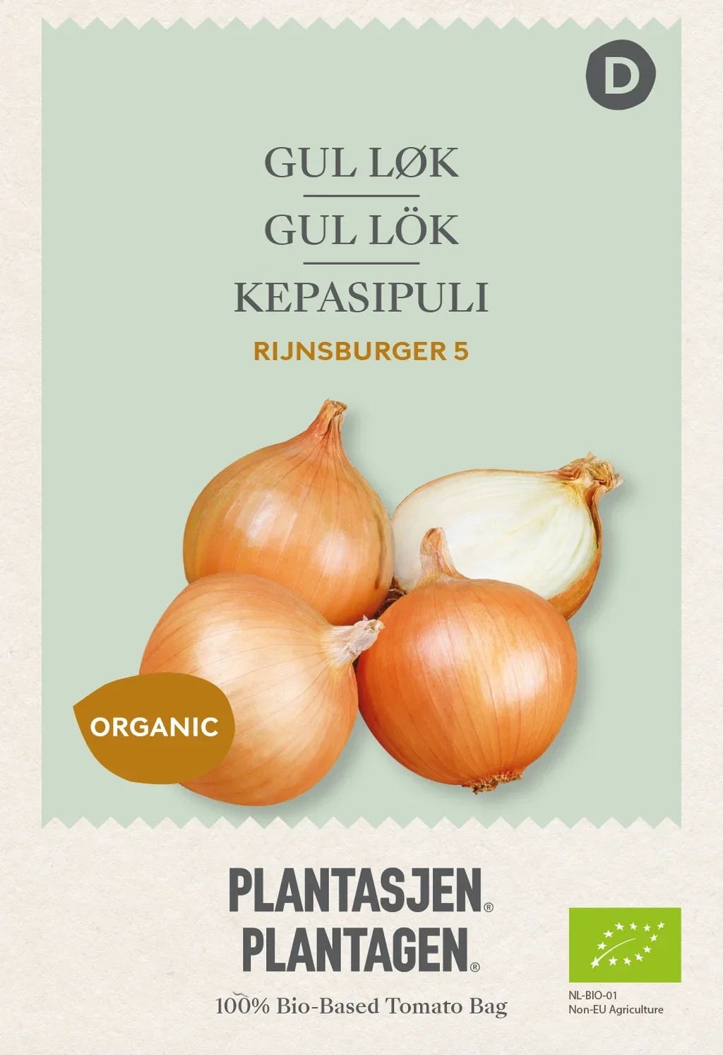 Allium cepa Gul løk 'Rijnsburger'