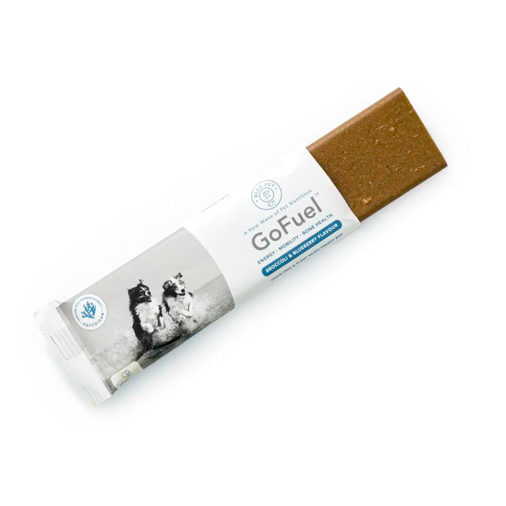 Blue Pet Co GoFuel Energy BarPumpkin50 gr
