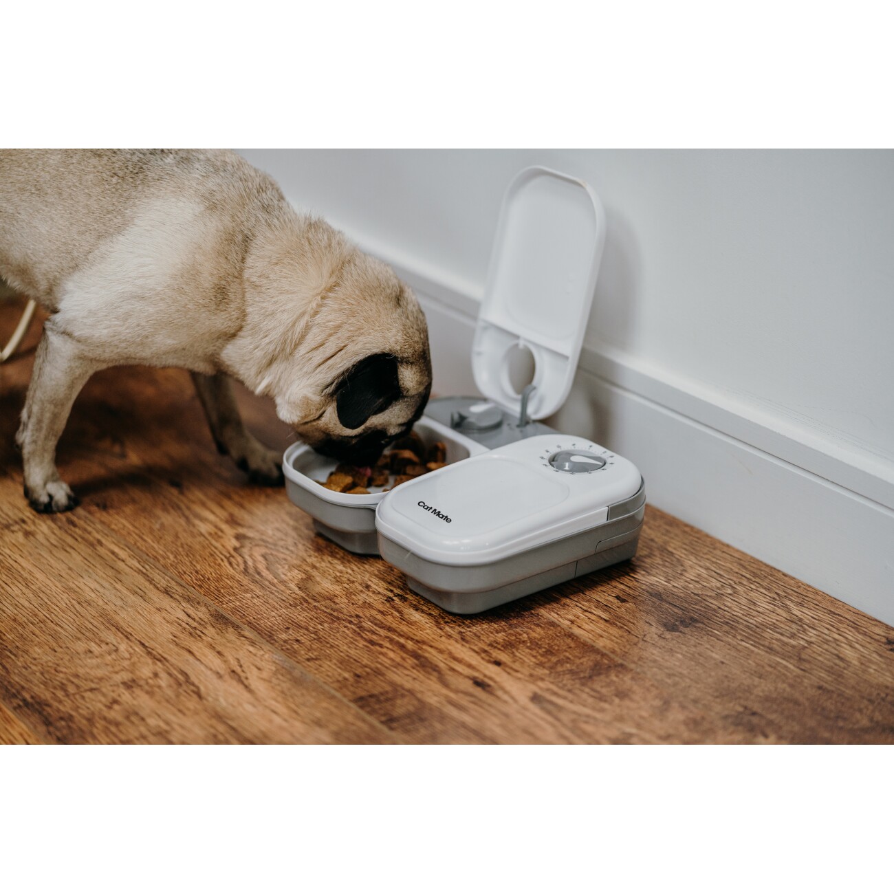 Cat Mate Futterautomat mit Timer für zwei Mahlzeiten (C200)