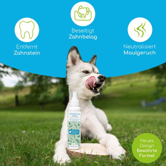 Wolfsbacher Natur Dentalspray
