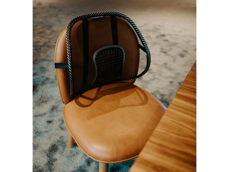 Swedish Posture Körperhaltung Back Rest Support Lendenwirbelstütze