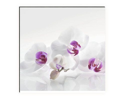 Keukenachterwand mySpotti Profix Orchid 100 x 60 cm PX-10060-61-HB