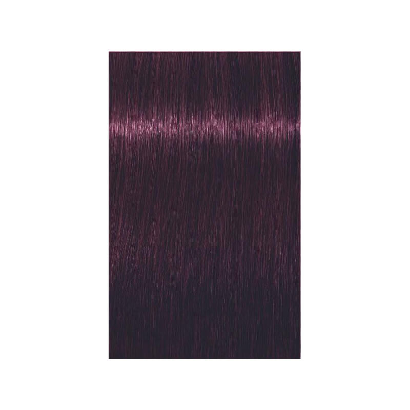 Igora Royal Mix 0-99 concentré violet 60 ml