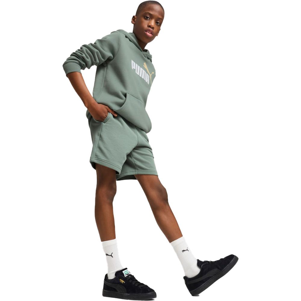 Puma ESS 2 Cololr No. 1 Logo Hoodie Kinder green moon
