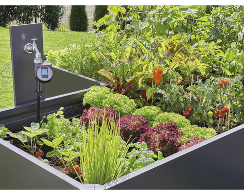 GARDENA Micro-Drip Startset Beet automatische bewateringsset (voor maximaal 35 planten) ten behoeve van UNICEF