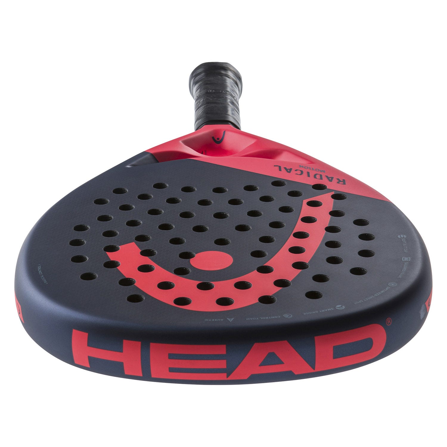 Head  Radical Motion 2024