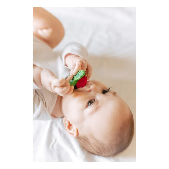 Oli & Carol Jouet de dentition Radis