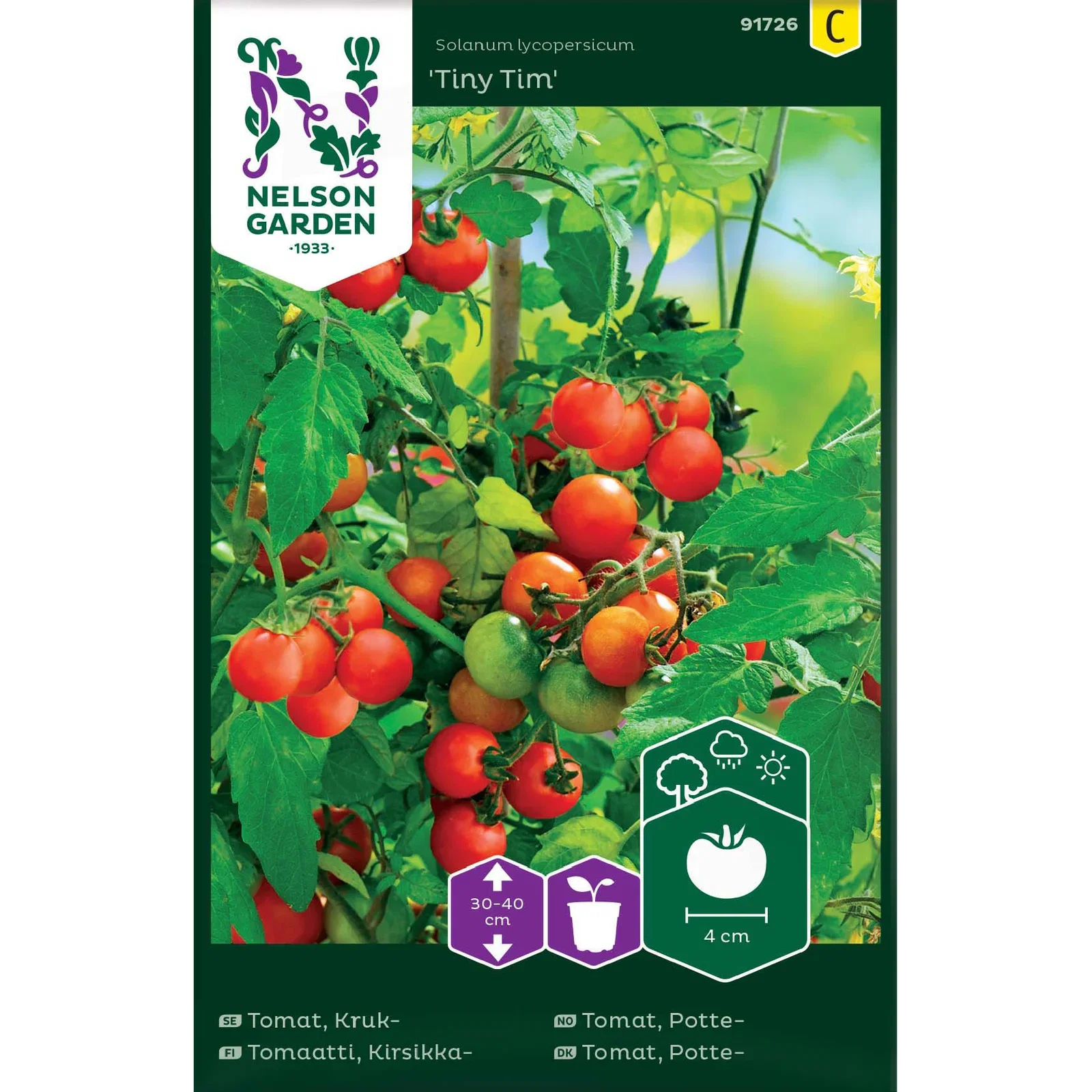 Solanum lycopersicum ''Tiny Tim' Cherrytomat 'Tiny Tim'