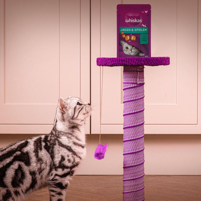 Whiskas Jeu et Vitalité Friandises pour chat