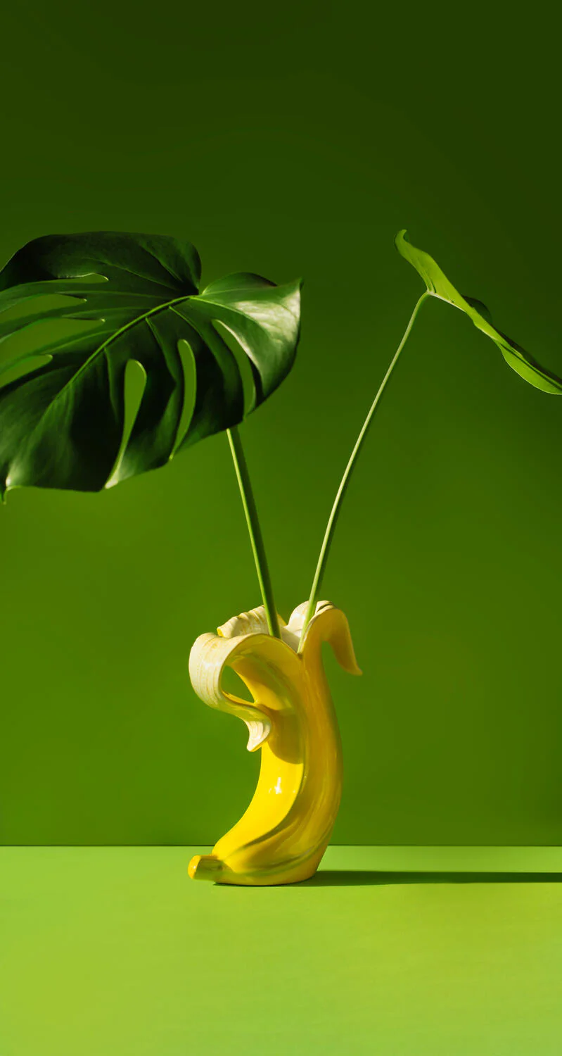 Donkey  Banana Romance vase - gul