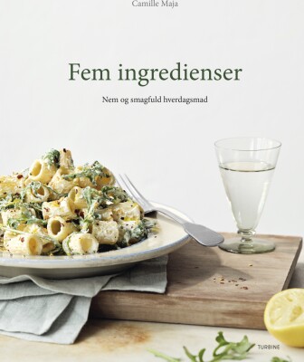 Fem Ingredienser - Camille Maja - Bog