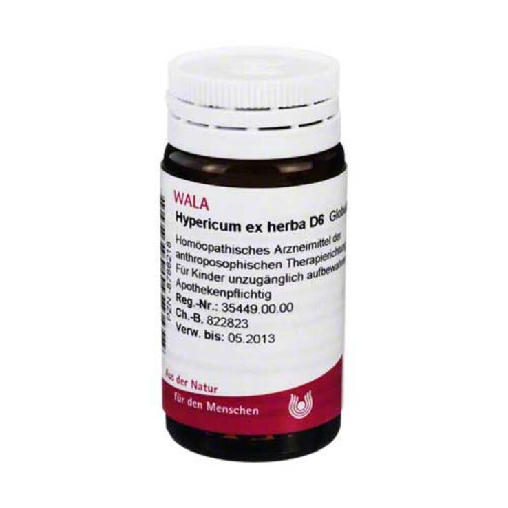 Hypericum ex Herba D 6 Globuli, 20 g