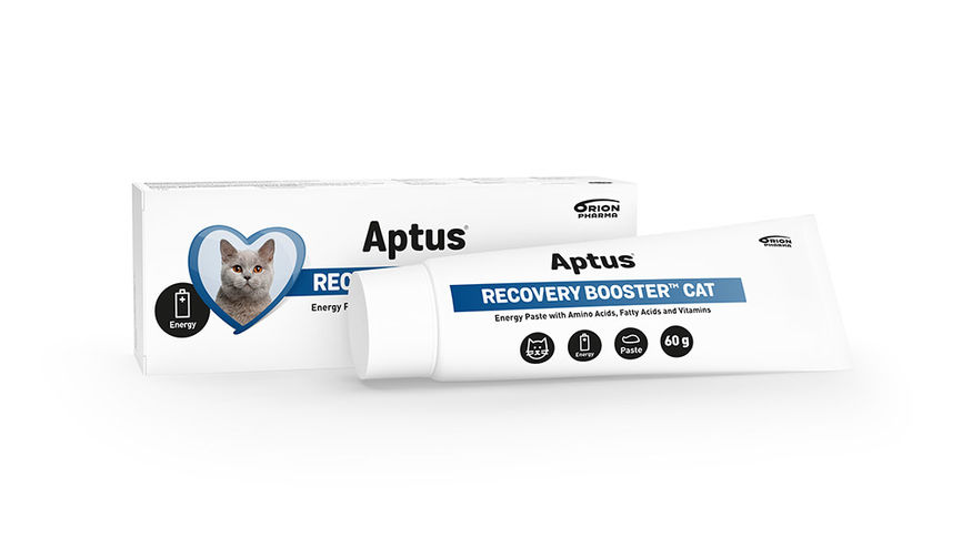 Aptus Recovery Booster Cat 60 g