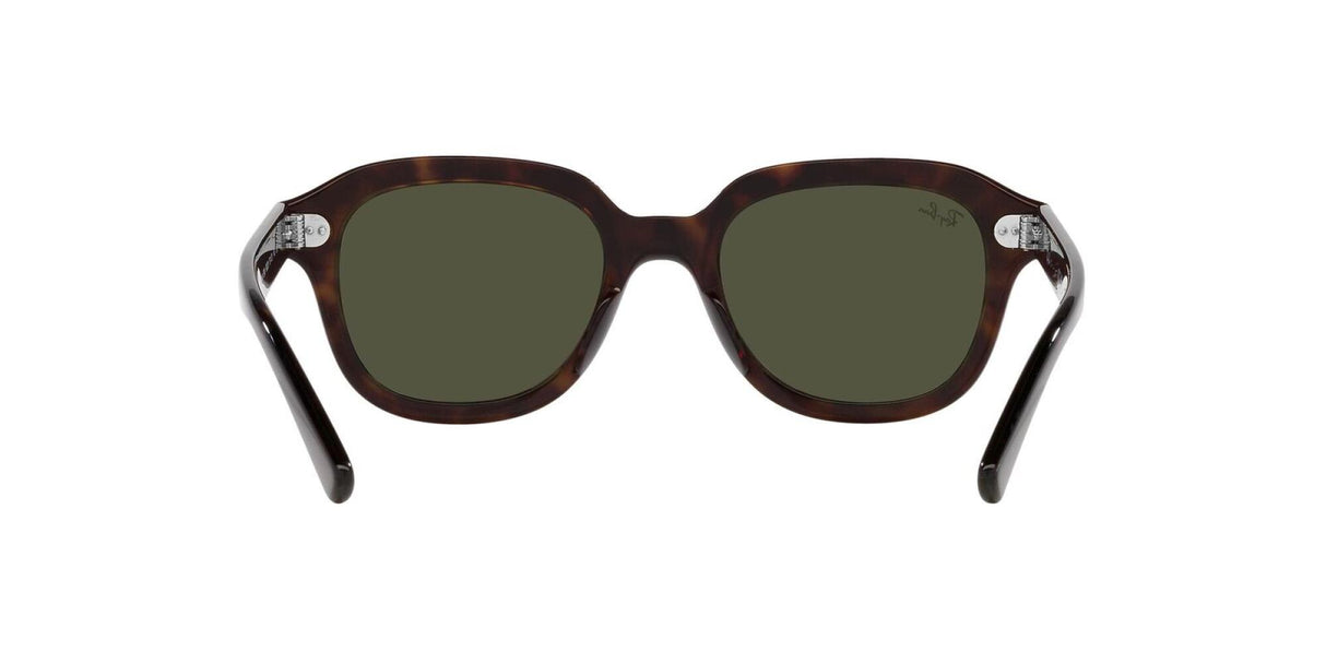 Ray-Ban<br>Erik Havana