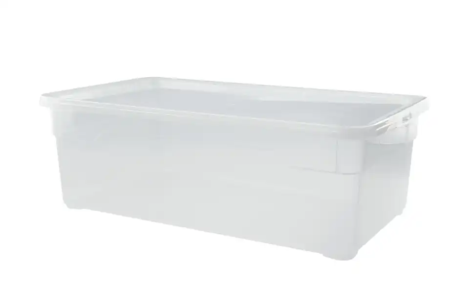 Rotho Aufbewahrungsbox mit Deckel 33 cm