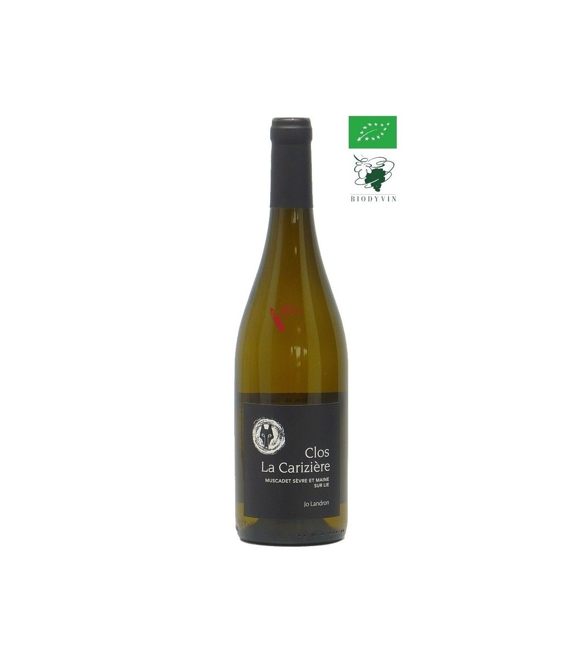 Domaine de la Louvetrie Muscadet Sèvre et Maine sur Lie