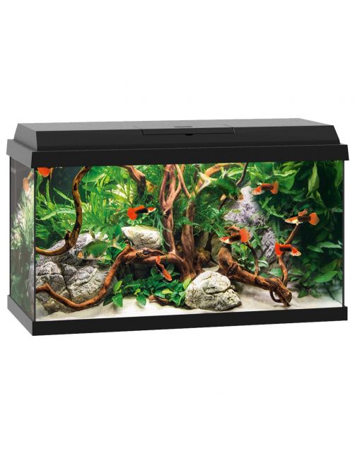 Juwel Aquarium Primo 60 - Aquaria - 61x31x37 cm Zwart Ca. 60 L