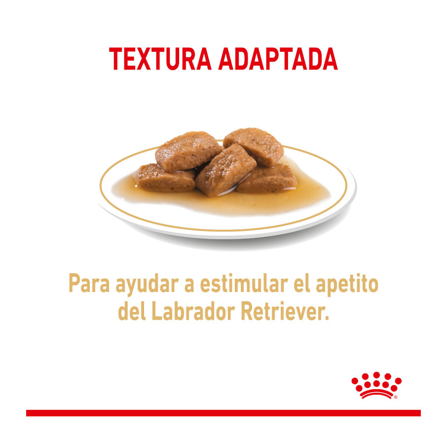 Sachês Royal Canin para Labrador