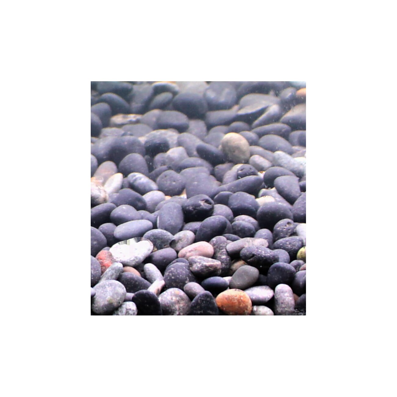 Silbermann Dark Gravel 5 l