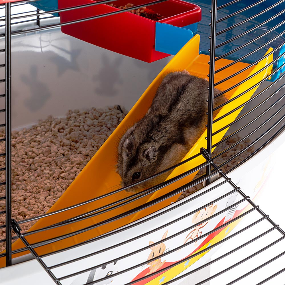 Gaiola para hamster Ferplast Circus