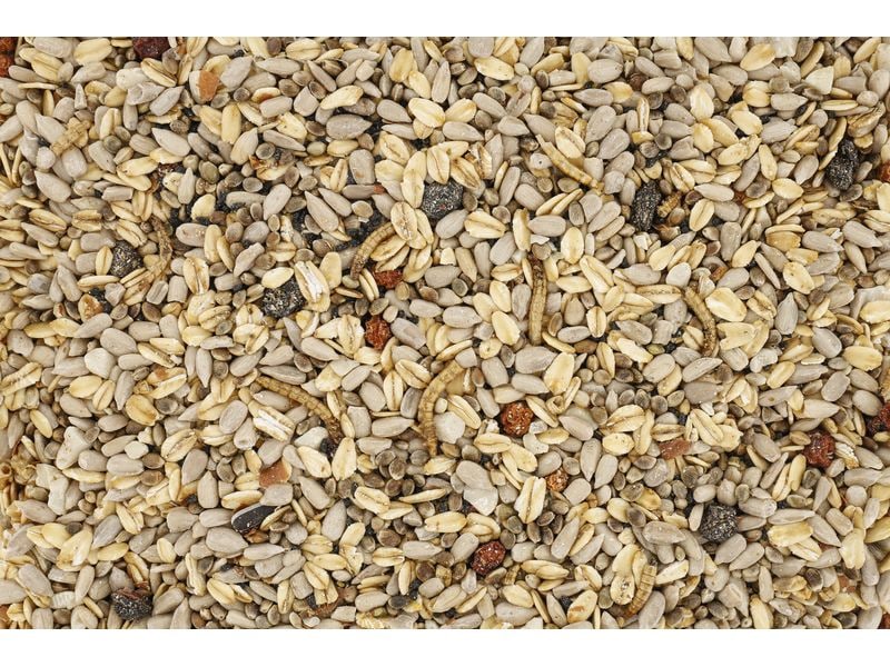 Eric Schweizer Vogelfutter Wildvogelmischung Expert 5 kg Mischung mit Walnüssen und Schwarzkümmel