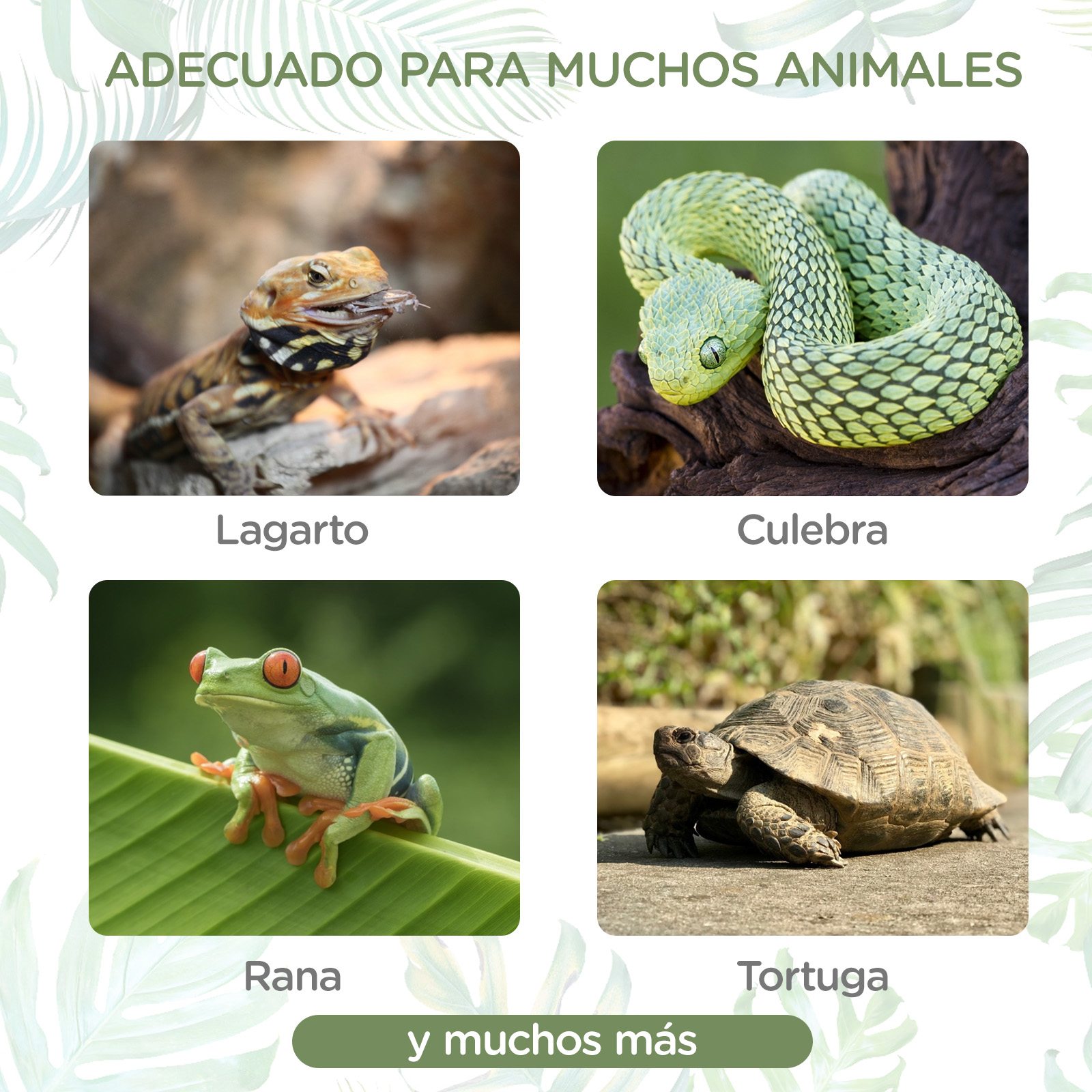 Caixa de alimentação Nobleza para répteis e anfíbios, terrário de plástico transparente, com design de ventilação e prevenção de fugas, tamanho G (28*18*18cm)