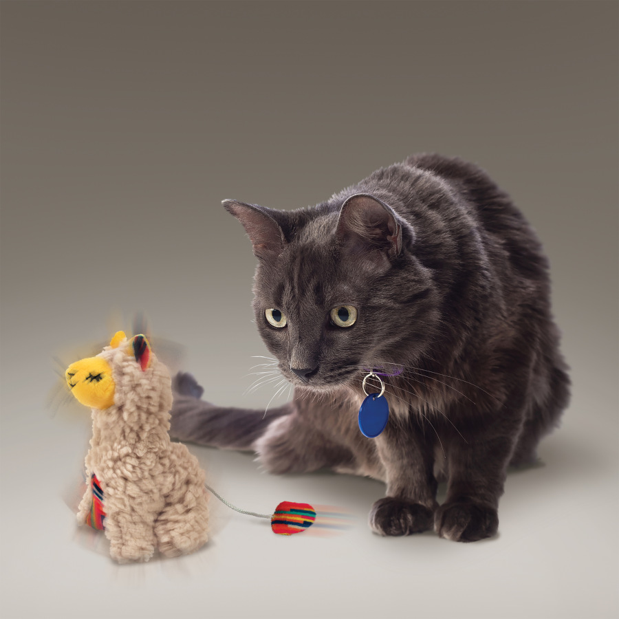 Brinquedo de pelúcia Kong Softies Buzzy Lhama para gatos
