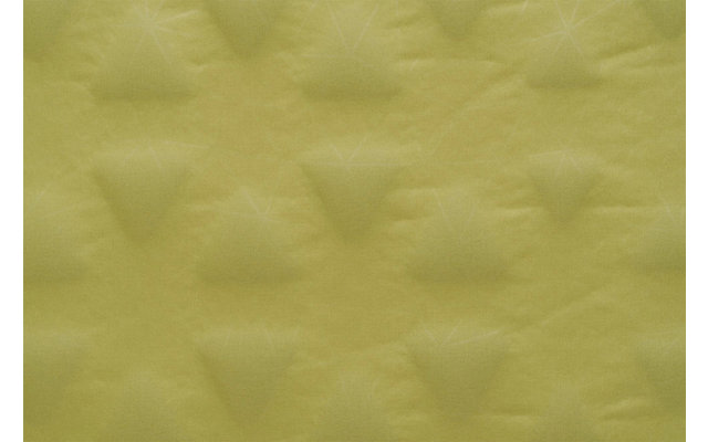 Sea to Summit Camp Self Inflating Sleeping Mat