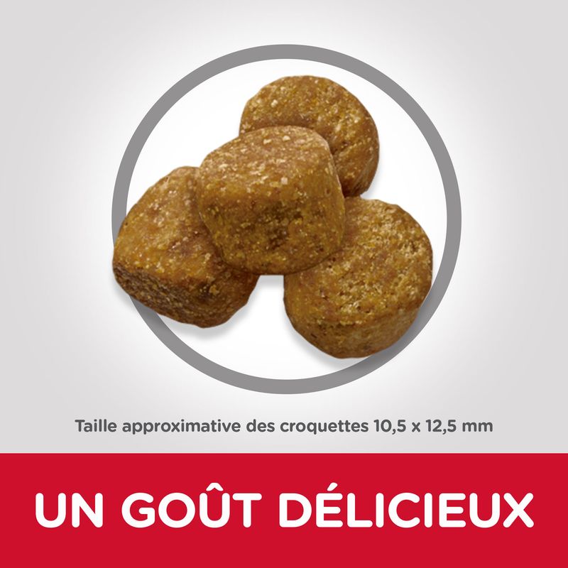Hill's Science Plan Adult 1-6 Light Medium poulet à Prix Discount | bitiba.fr