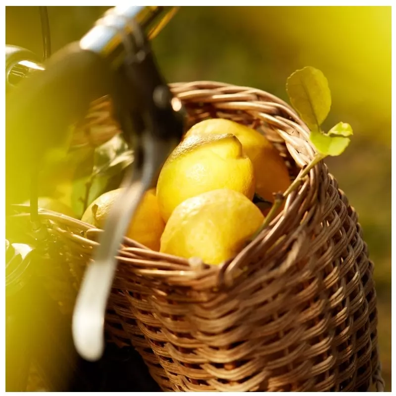 Maison Margiela Replica Under The Lemon Tree EDT 100 ml