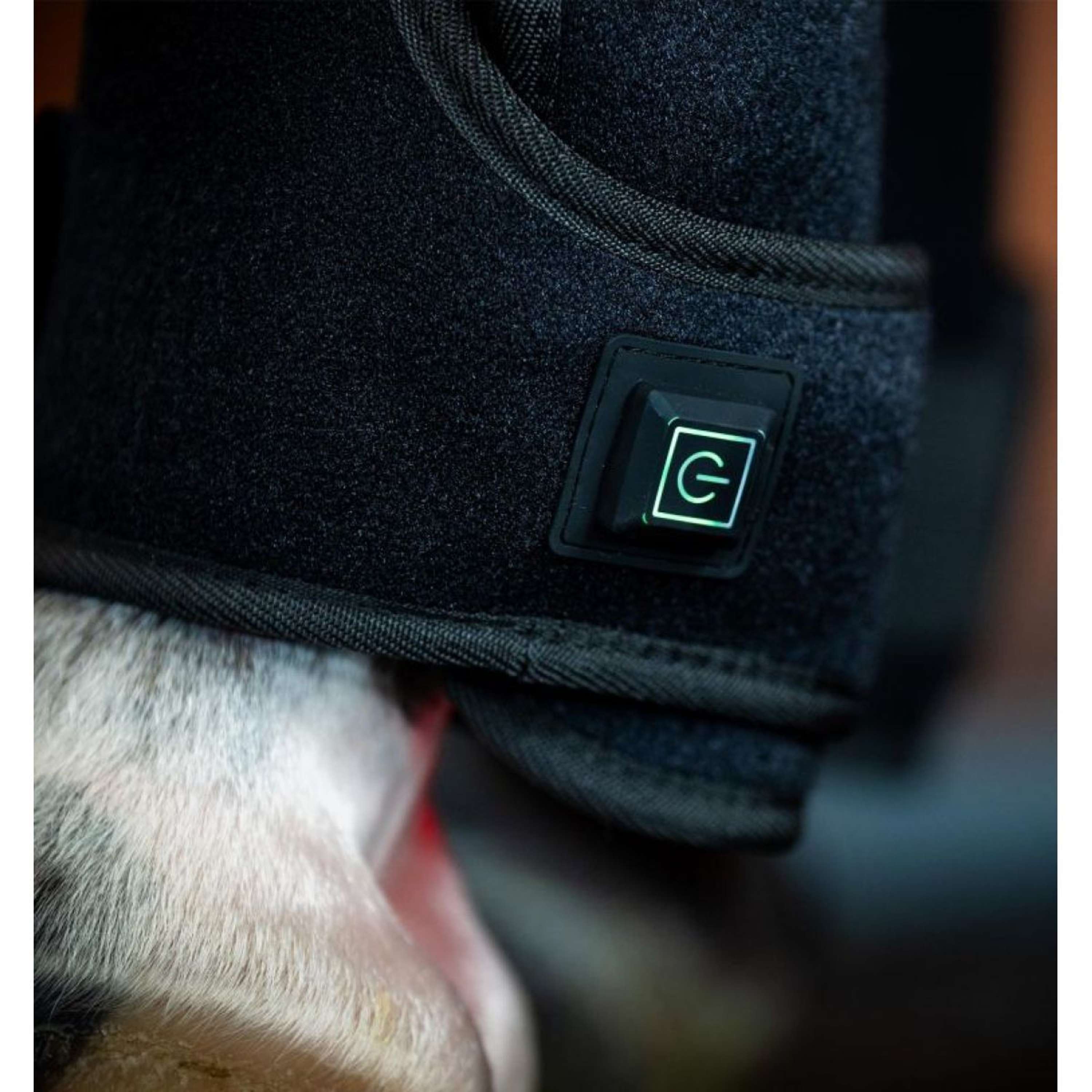 Horseware LED Red Light Therapy Right Leg Wrap Zwart