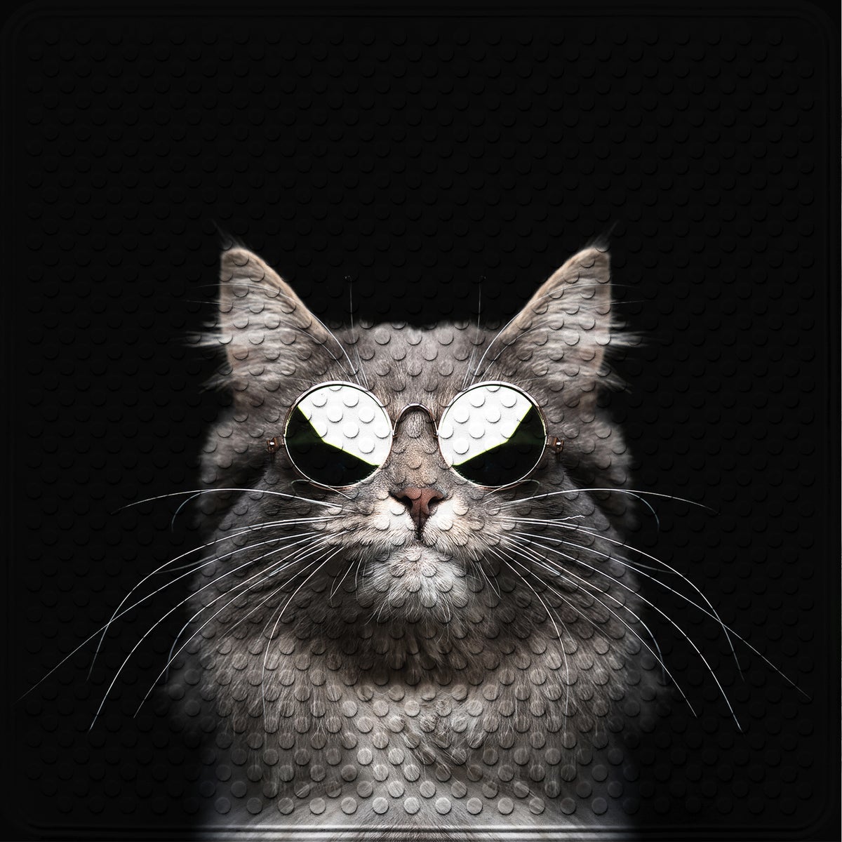 Sanilo badmat Cool Cat 53 cm x 53 cm