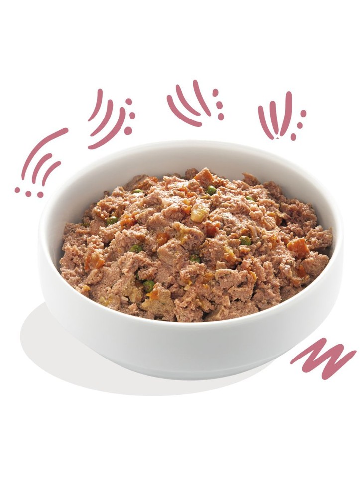 Edgard Cooper - BLAND 4 FOR 119 - Paté And & Kylling, Puppy 300gr - 5407007147632