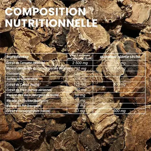 Santarome Bio Phyto Joint Comfort 20 ampolas