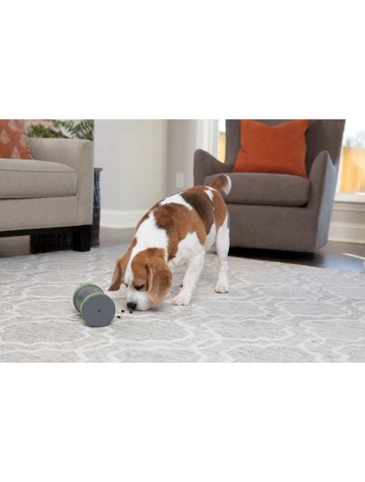 Petsafe - Kibble Chaseinteraktiv slowfeederGodbid dispenser automatisk