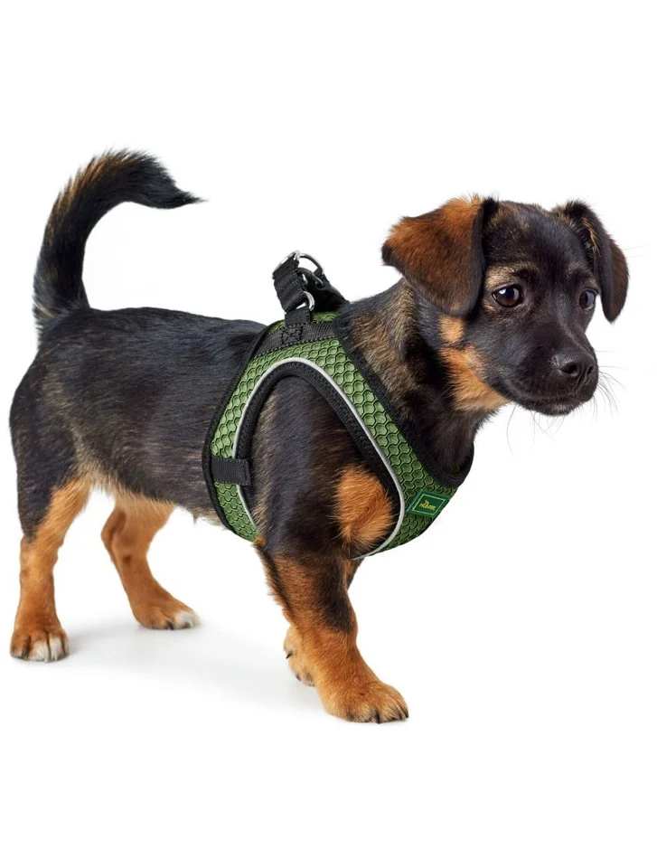 Hunter - Hundesele Hilo Comfort 36-40/XS, grøn
